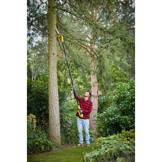 STANLEY SFMCPS620M1 pole saw used outdoors for pruning high tree branches in a garden.